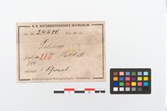 Foto von Bimetallpilzknaufschwert (NHMW-PRAE-024480)